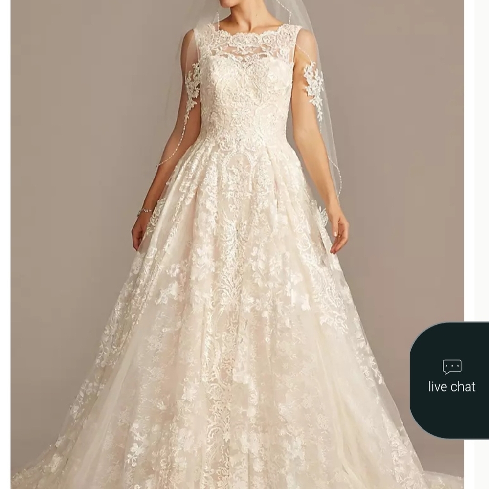Oleg Cassini Cream Lace Wedding Dress-10